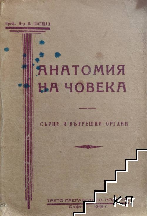 Анатомия на човека: Сърце и вътрешни органи