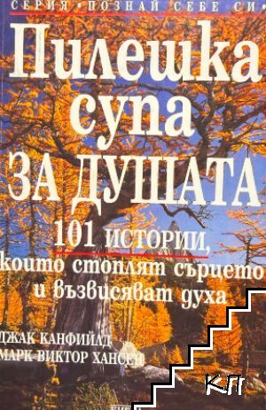 Пилешка супа за душата