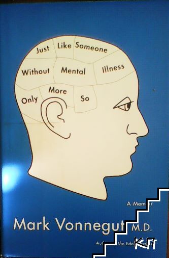 Just Like Someone Without Mental Illness Only More So: A Memoir