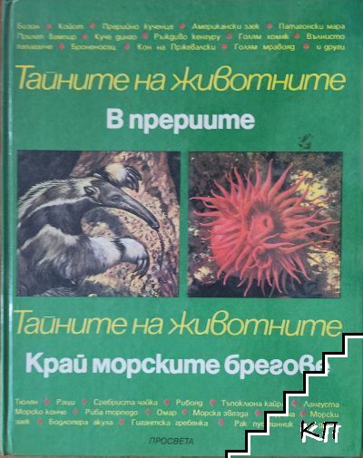 В прериите; Край морските брегове