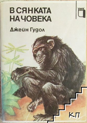 В сянката на човека