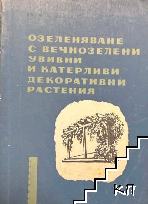 Озеленяване с вечнозелени увивни и катерливи декоративни растения