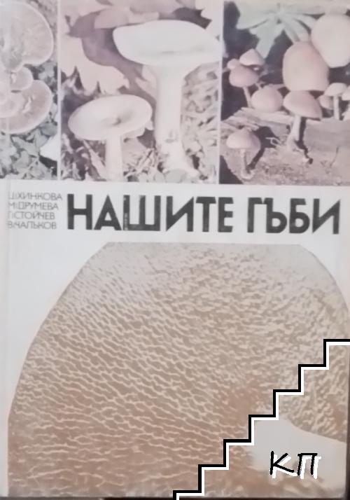 Нашите гъби