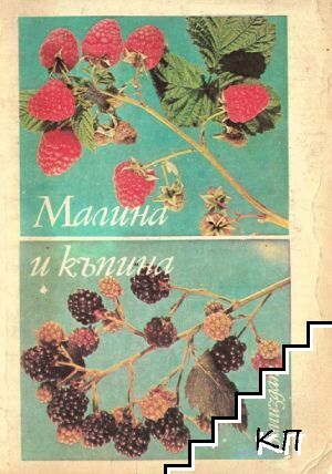 Малина и къпина