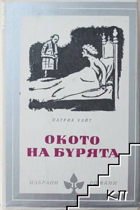 Окото на бурята