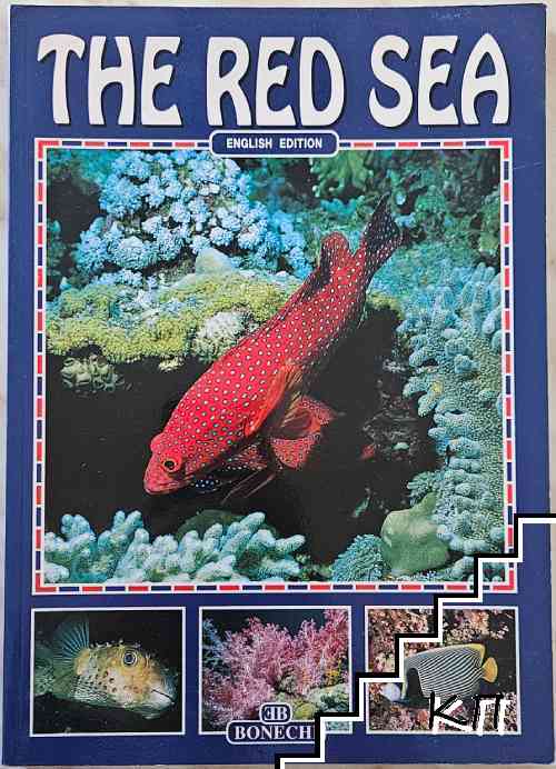 The Red Sea