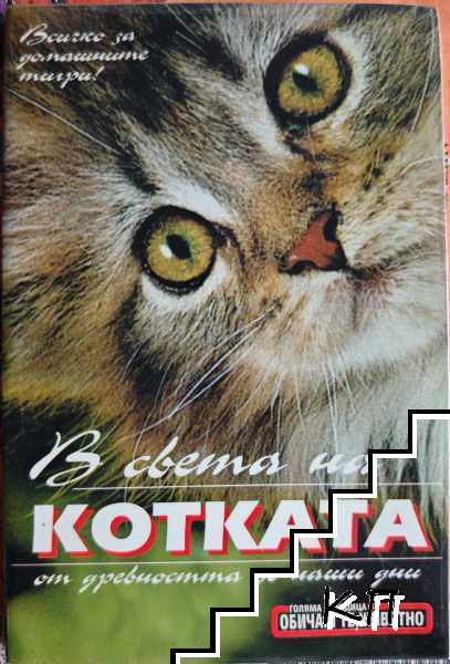 В света на котката