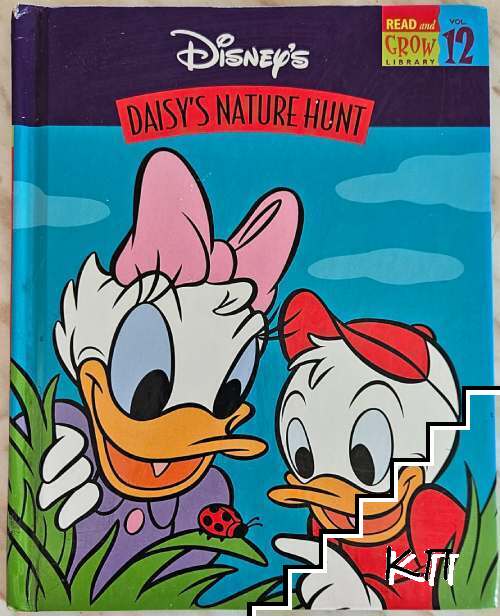 Daisy's Nature Hunt