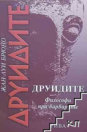 Друидите