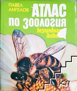 Атлас по зоология: Безгръбначни животни