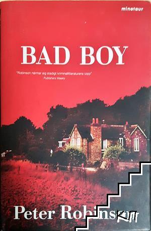 Bad Boy Bad Boy