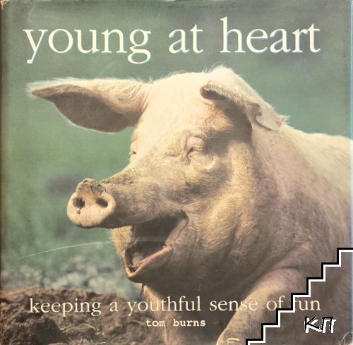 Young at Heart. Keeping a Youthful Sense of Fun Young at Heart. Keeping a Youthful Sense of Fun