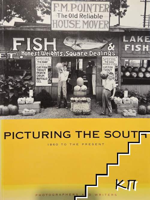 Picturing the South 1860 to the Present