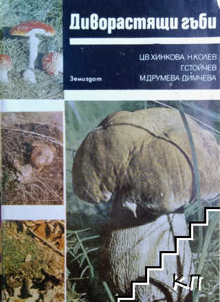 Диворастящи гъби
