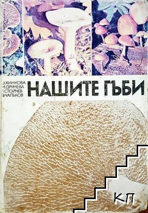 Нашите гъби