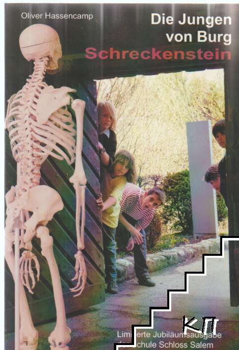 Die Jungen von Burg Schreckenstein