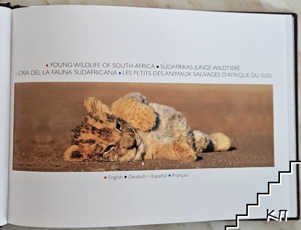 Young Wildlife (Допълнителна снимка 1)