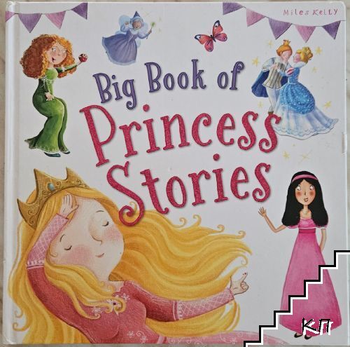 Big Book of Princess Stories