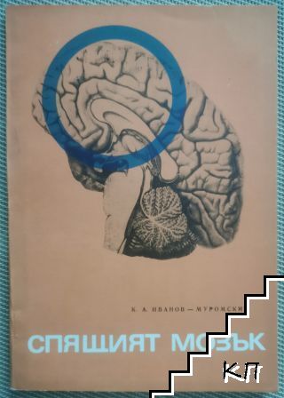 Спящият мозък