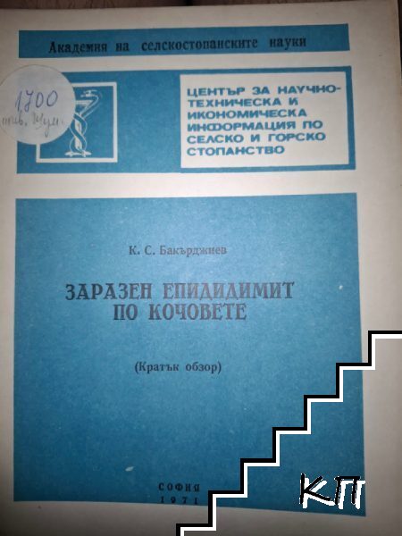 Заразен епидидимит по кочовете