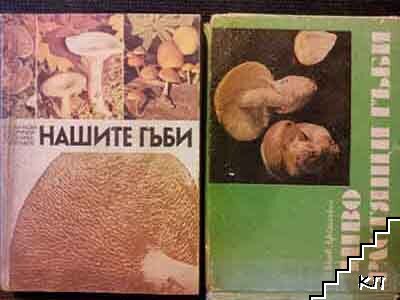 Нашите гъби / Диворастящи гъби