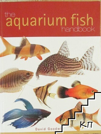 The aquarium fish