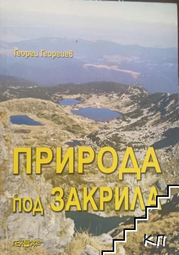Георги Георгиев