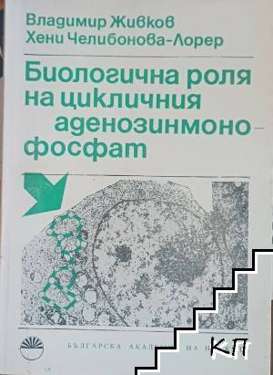 Биологична роля на цикличния аденозинмонофосфат