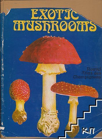 Exotic Mushrooms