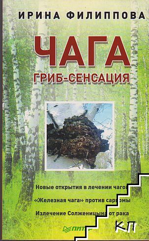 Чага Гриб-Сенсация
