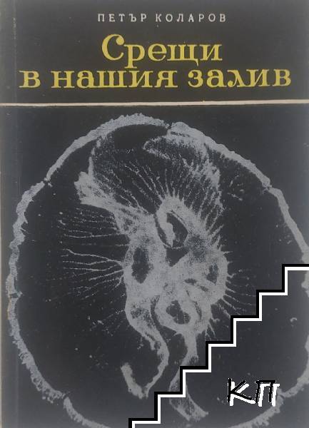 Срещи в нашия залив