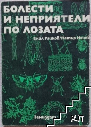 Болести и неприятели по лозата
