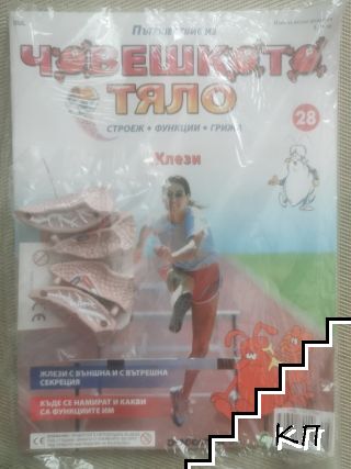 Пътешествие из човешкото тяло. Книга 28: Жлези