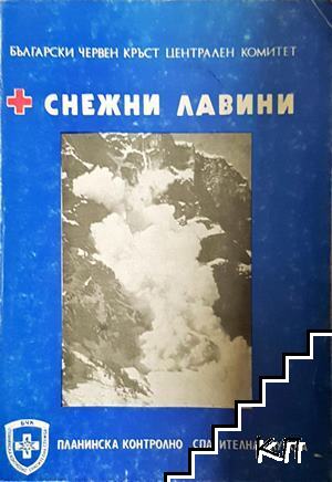 Снежни лавини