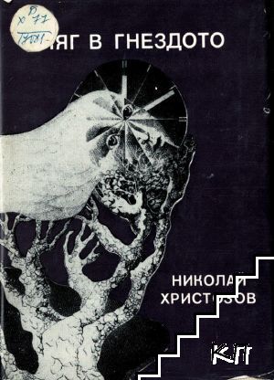 Сняг в гнездото Сняг в гнездото