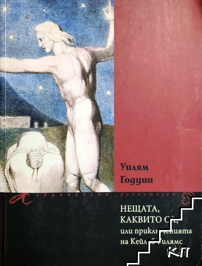 Нещата, каквито са, или приключенията на Кейлъб Уилямс Нещата, каквито са, или приключенията на Кейлъб Уилямс