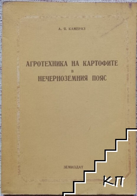 Агротехника на картофите в нечерноземния пояс