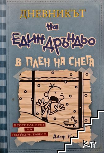 Дневникът на един Дръндьо. Книга 6: В плен на снега
