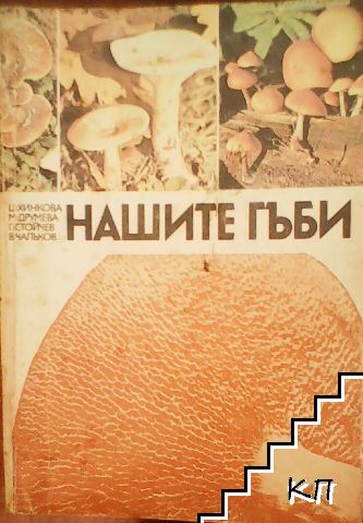 Нашите гъби