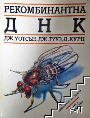 Рекомбинантна ДНК Рекомбинантна ДНК