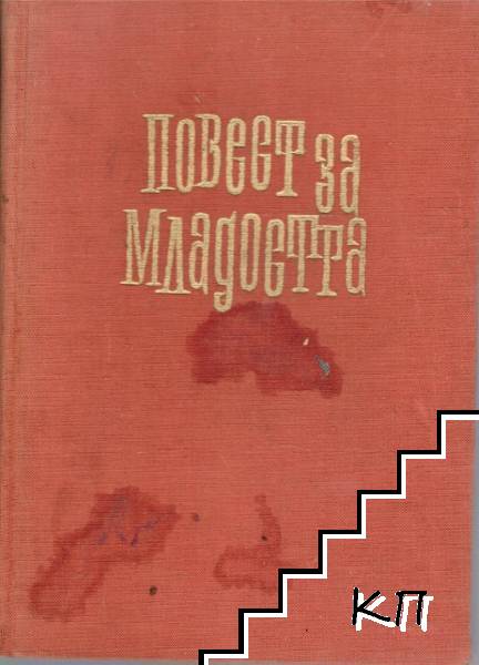 Повест за младостта