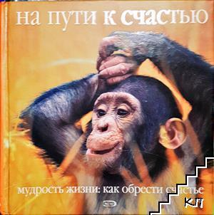 На пути к счастью