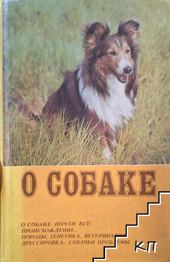 О собаке