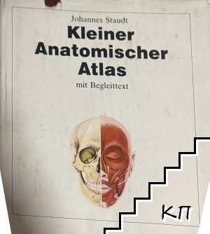 Kleiner Anatomischer Atlas