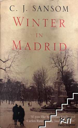 Winter in Madrid