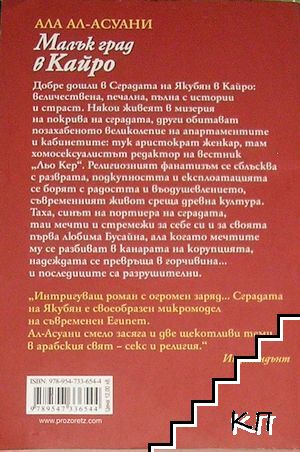 Малък град в Кайро (Допълнителна снимка 1)