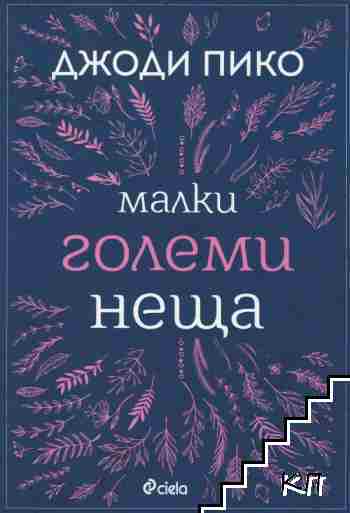 Малки големи неща
