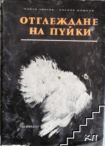 Отглеждане на пуйки