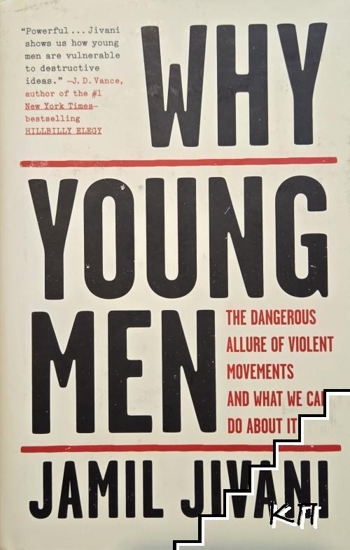 Why Young Men. The Dangerous Allure of Violent Movements and What We Can Do about It
