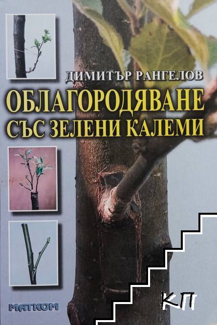 Облагородяване със зелени калеми